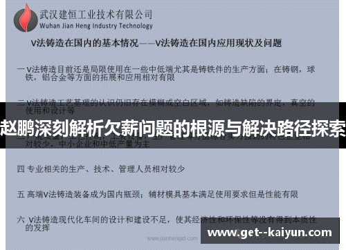 赵鹏深刻解析欠薪问题的根源与解决路径探索